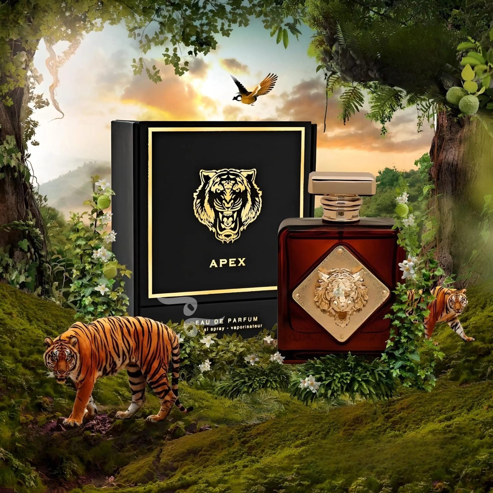 Apex By Fragrance World