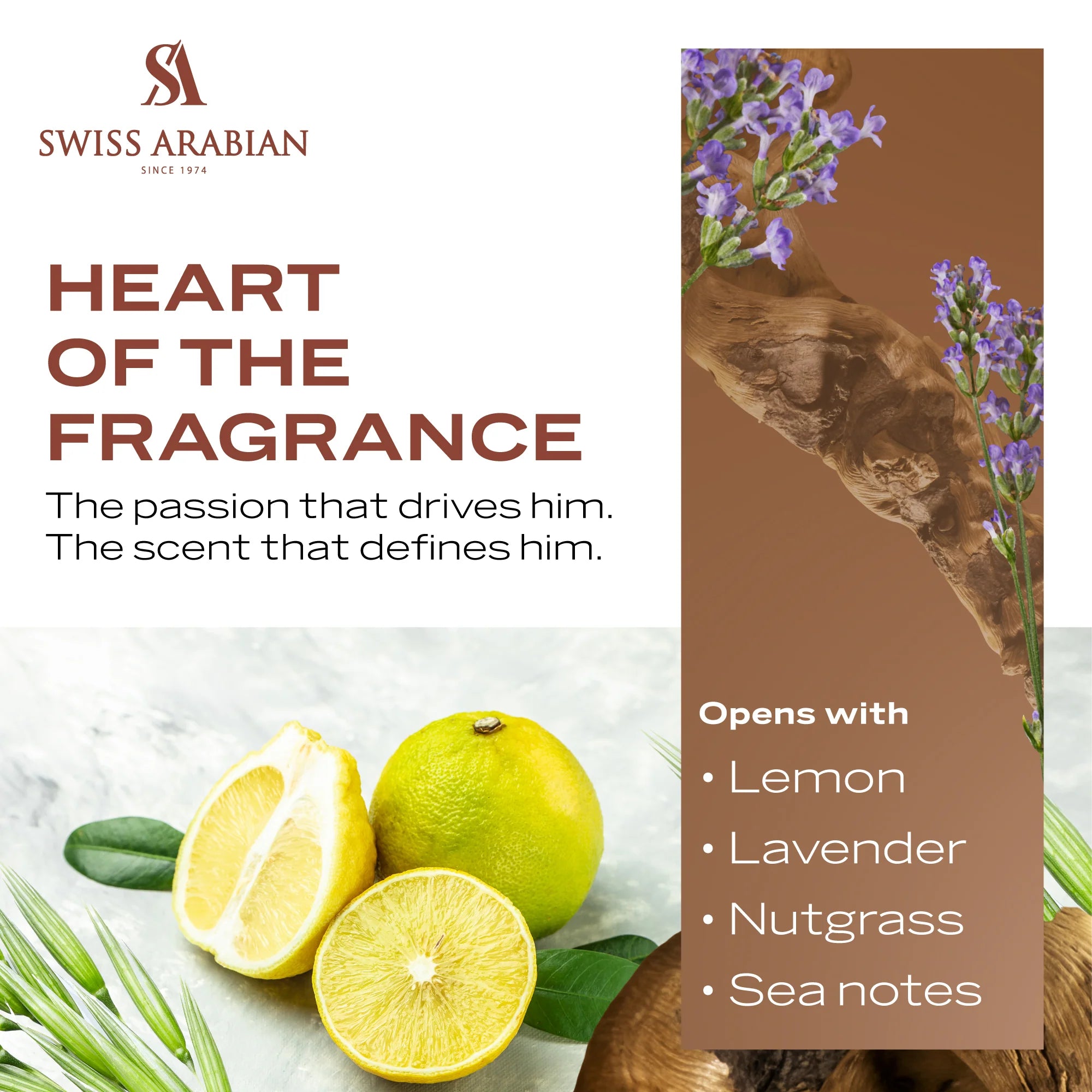 Shaghaf 75ml EDP By Swiss Arabian