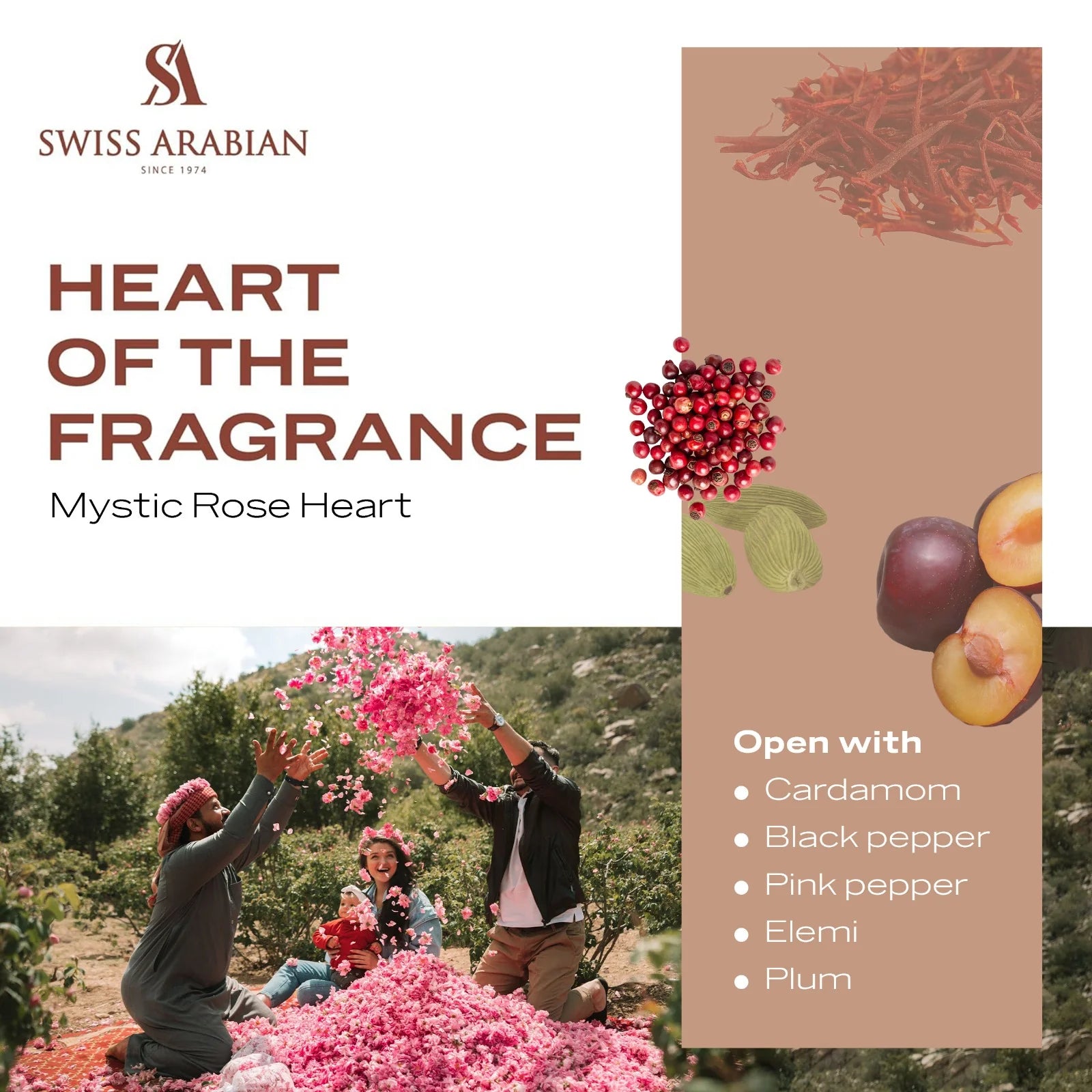 Enigma Of Taif 100ml EDP By Swiss Arabian