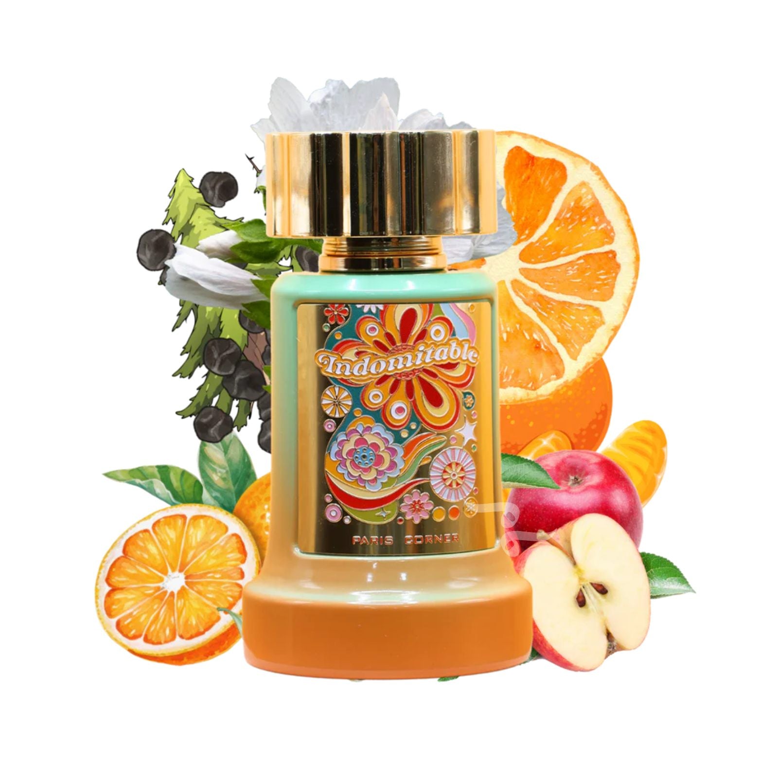 Indomitable 100ml EDP By Paris Corner