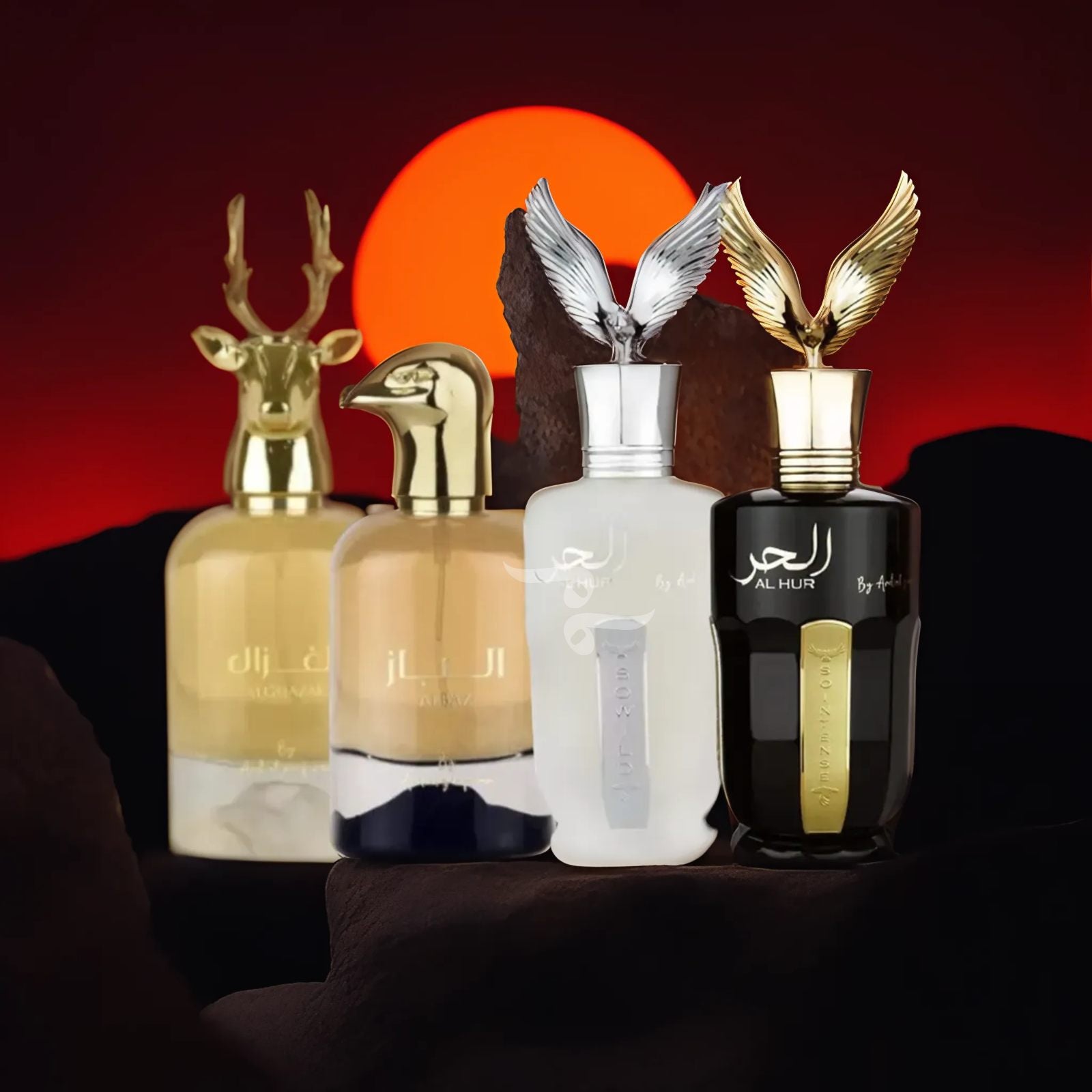 Into the Wild collection - 4 pack