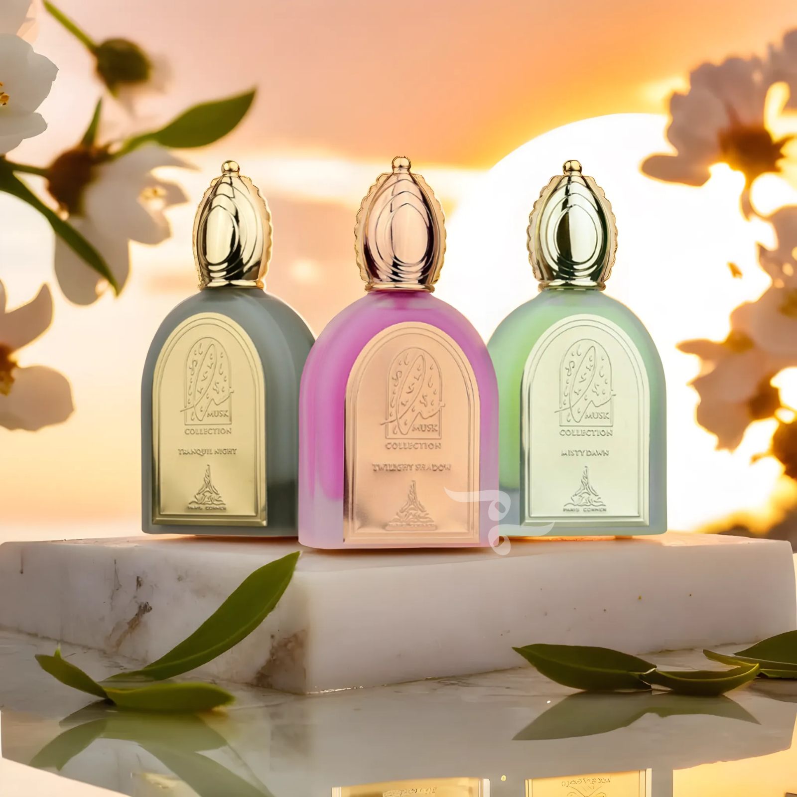 The Musk Collection by Paris Corner (3 Pack)