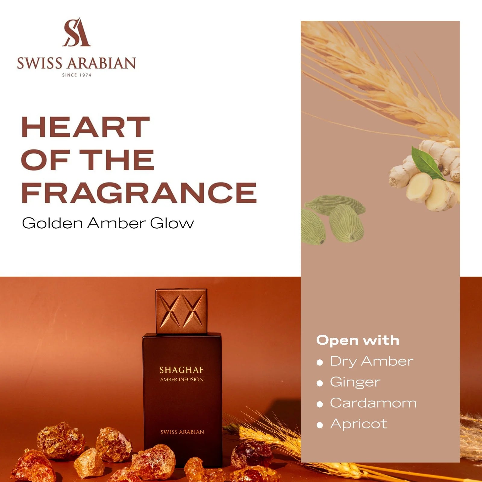 Shaghaf Amber Infusion 75ml EDP By Swiss Arabian