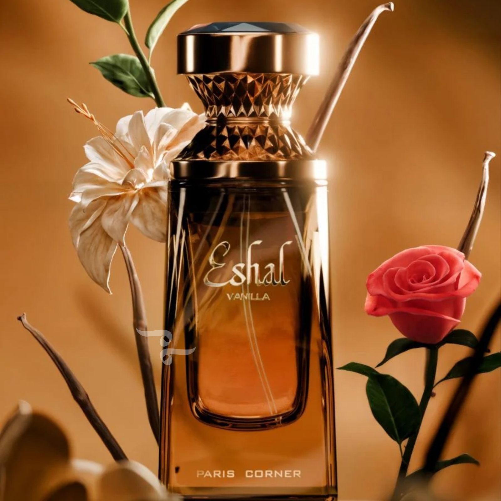 Eshal Vanilla 100ml EDP By Paris Corner