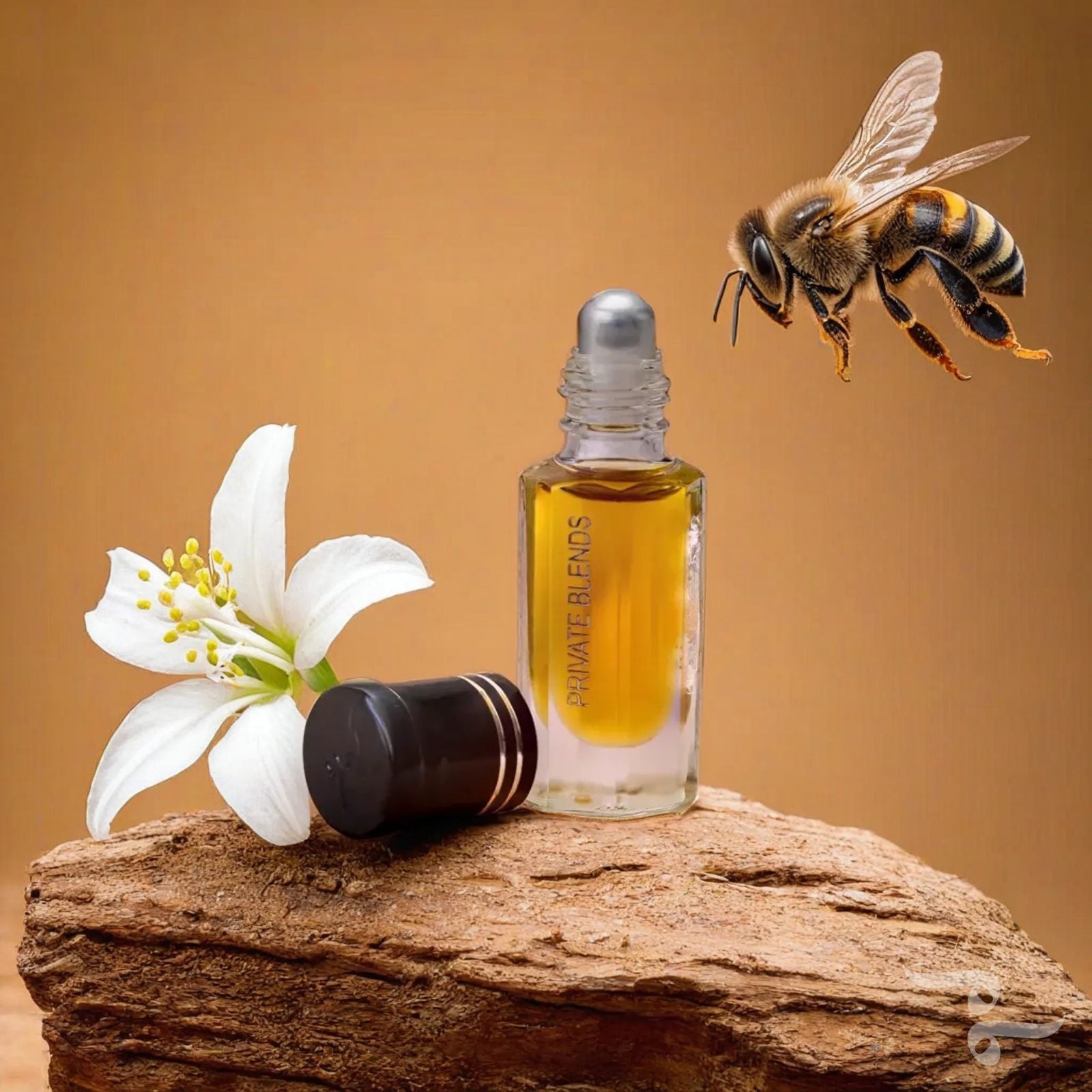 The Bee by the Jasmine Flower