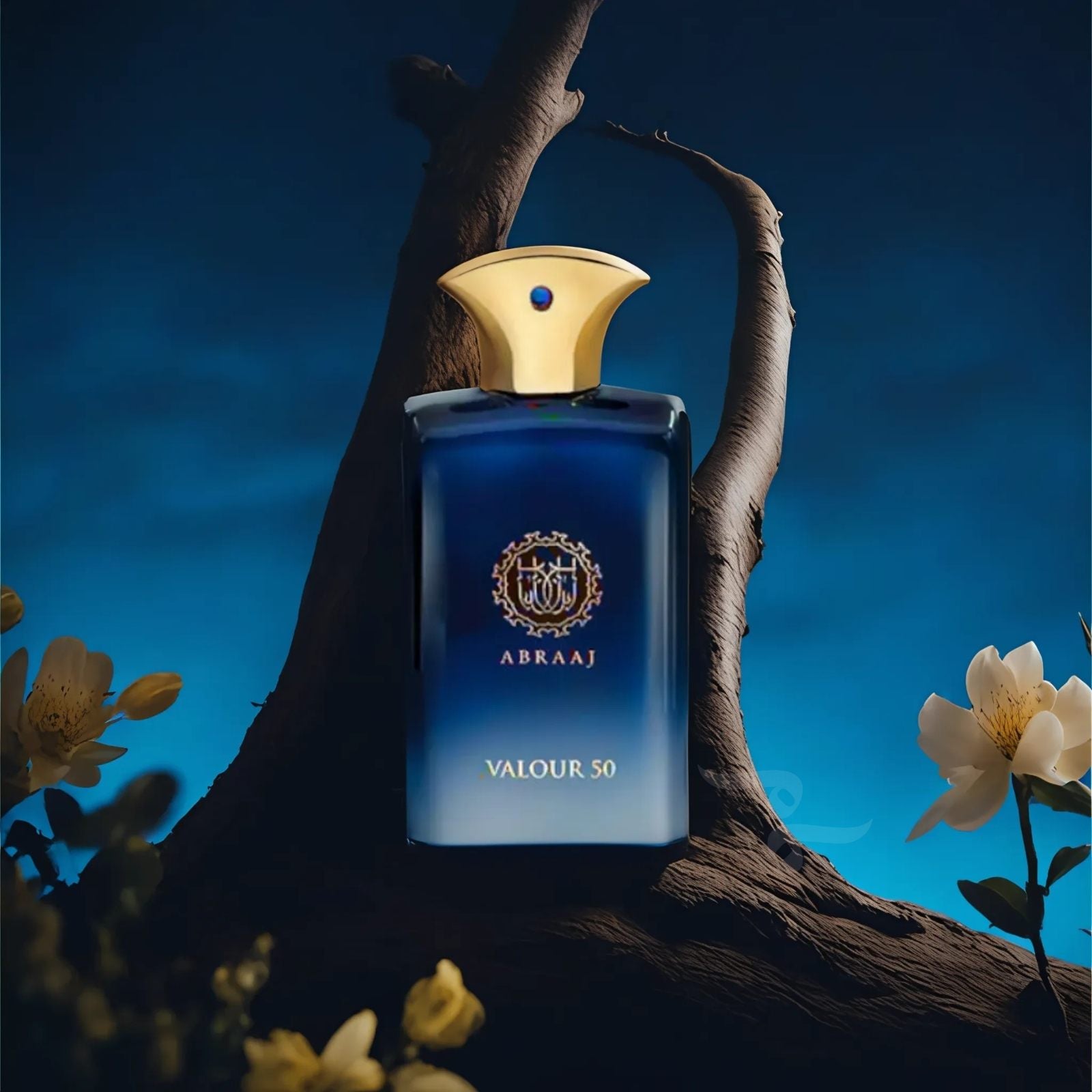 Abraaj Valour 50