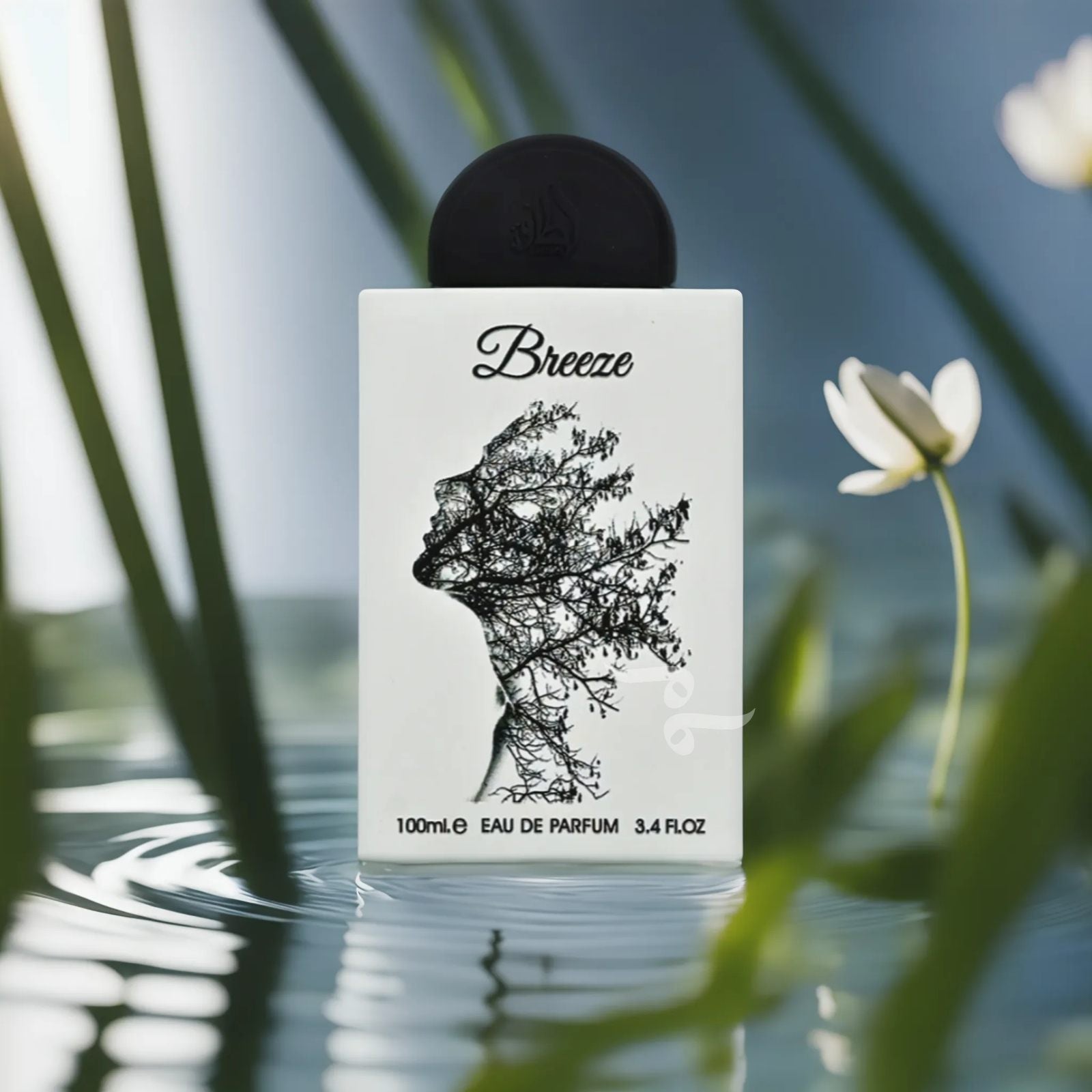 Breeze by Lattafa, 3.4 oz EDP Spraya for Unisexx