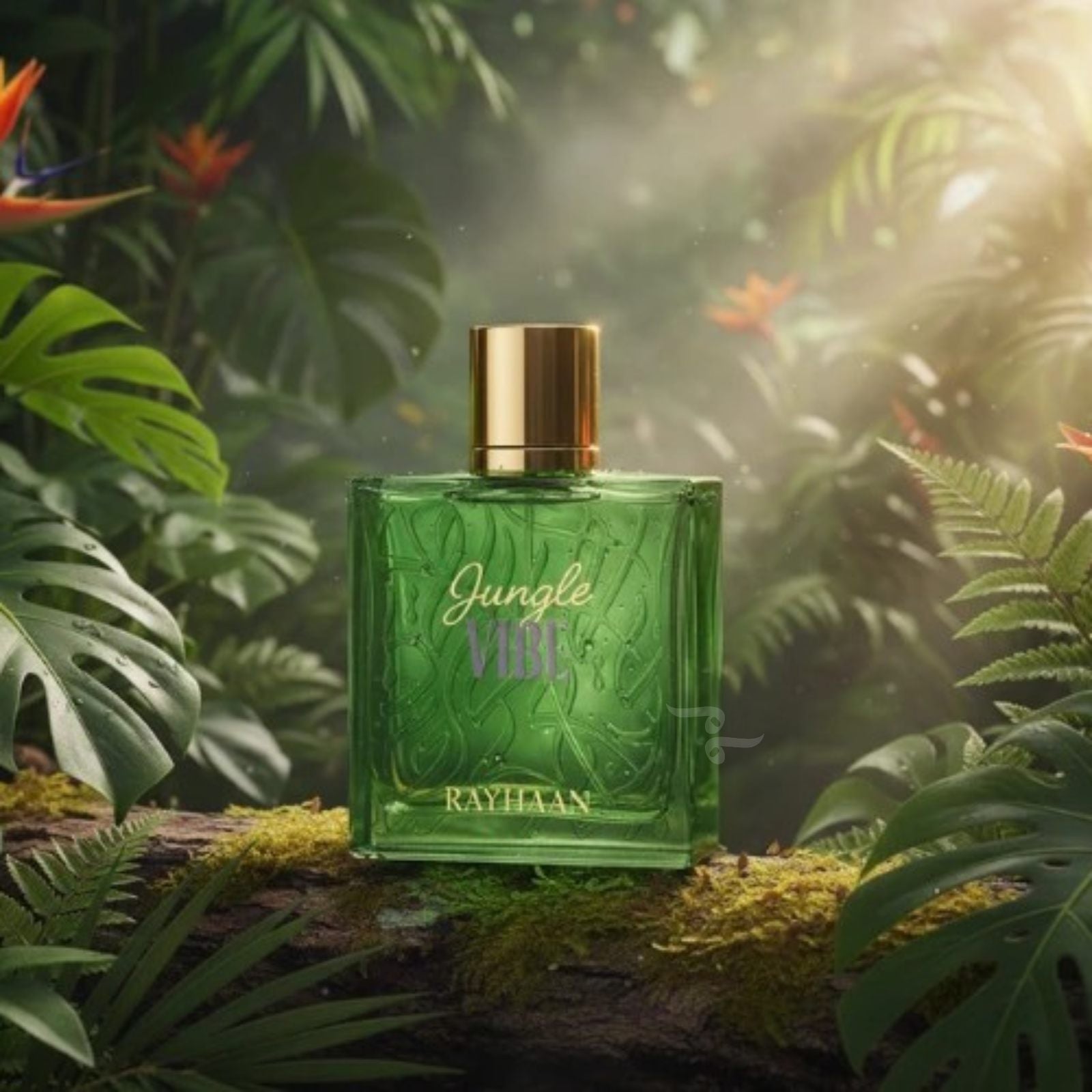 Jungle Vibe 100ml EDP By Rayhaan