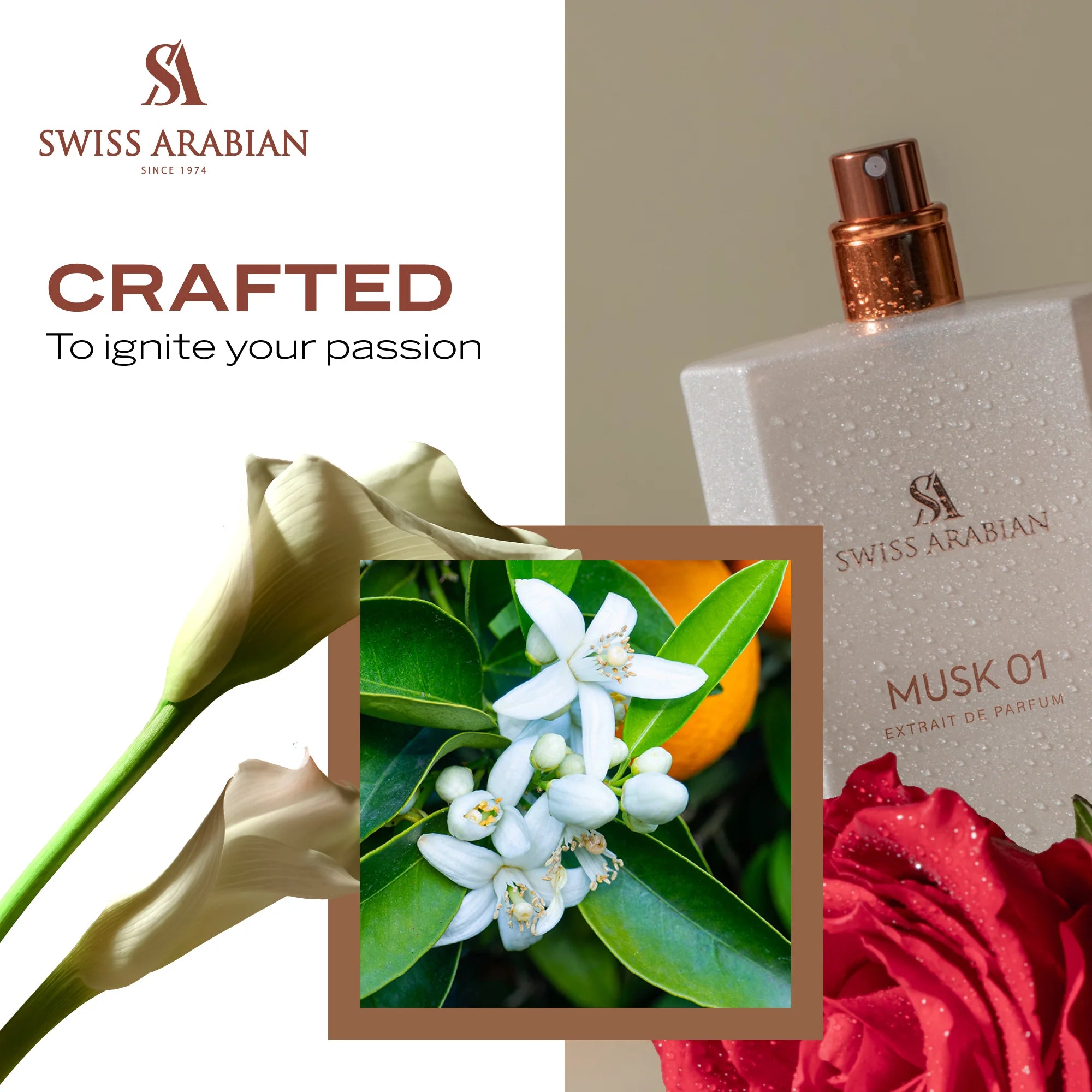 Musk 01 50ml EDP By Swiss Arabian