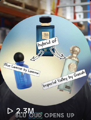 Blu Oud video