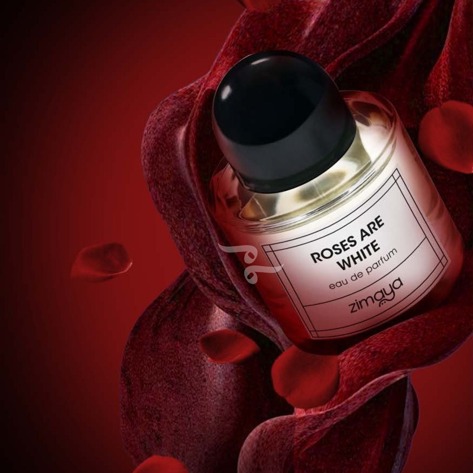 ROSES ARE WHITE EDP 100ML