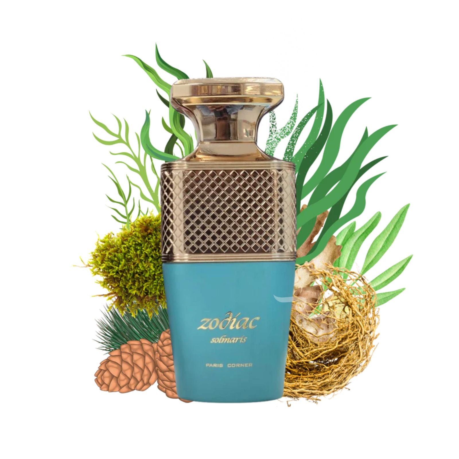 Zodiac Solmaris 100ml EDP By Paris Corner