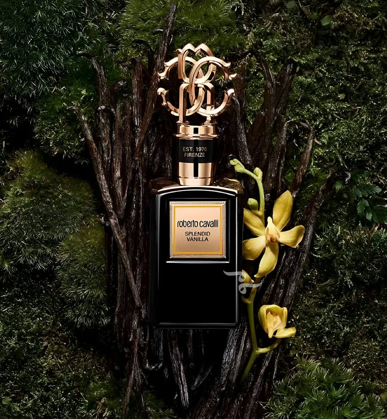 100ml SPLENDID VANILLA EDP By ROBERTO CAVALLI GOLD COLLECTION