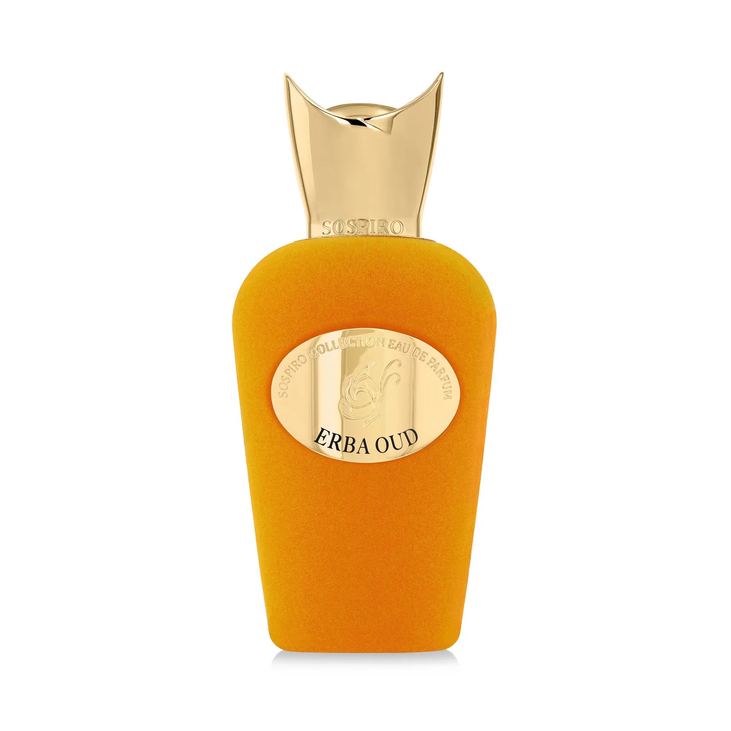 ERBA OUD EDP 100ML by Sospiro