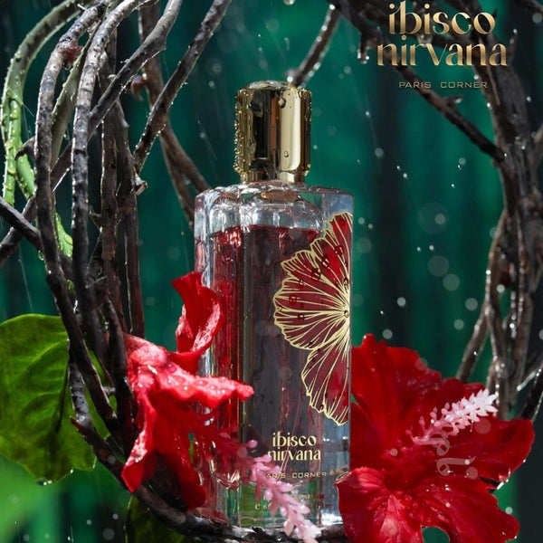 Ibisco Nirvana Paris Corner main image 0