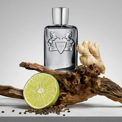 125ml Castley EDP By Parfums De Marly
