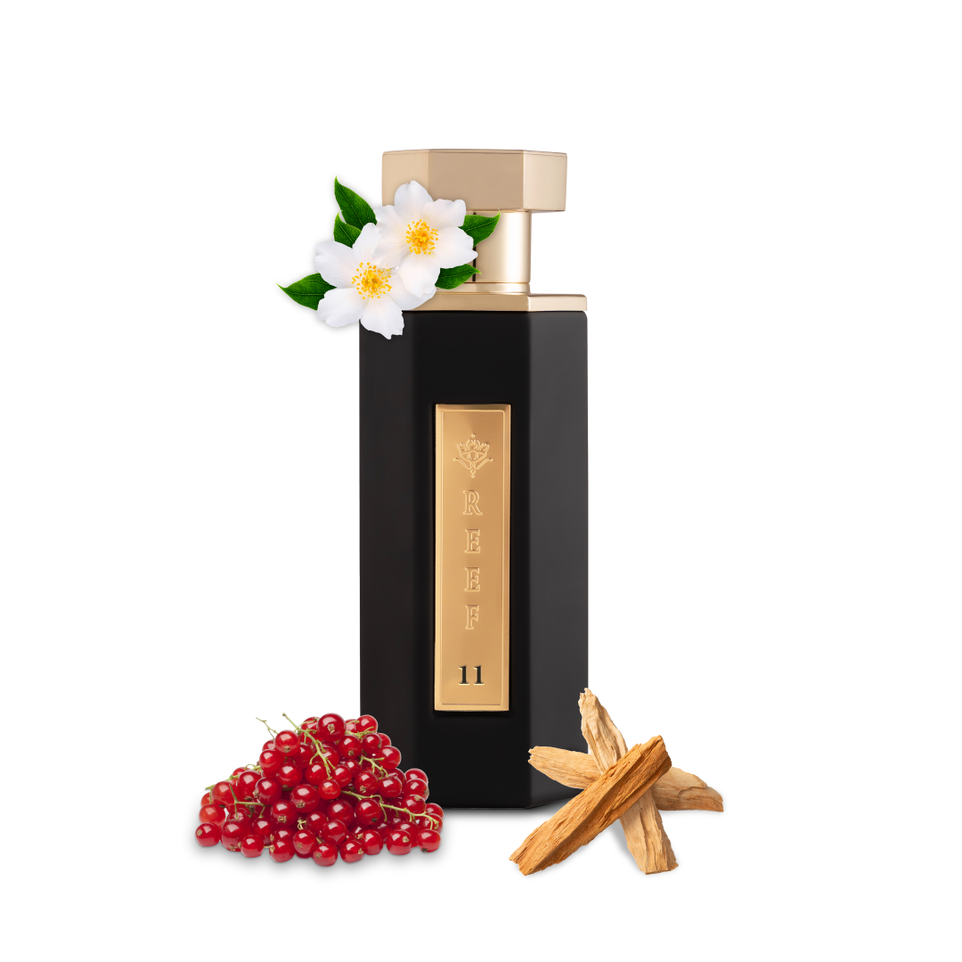 Reef 11 100ml EDP By Reef Perfumes