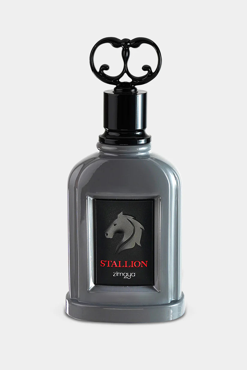 STALLION EDP 100ML