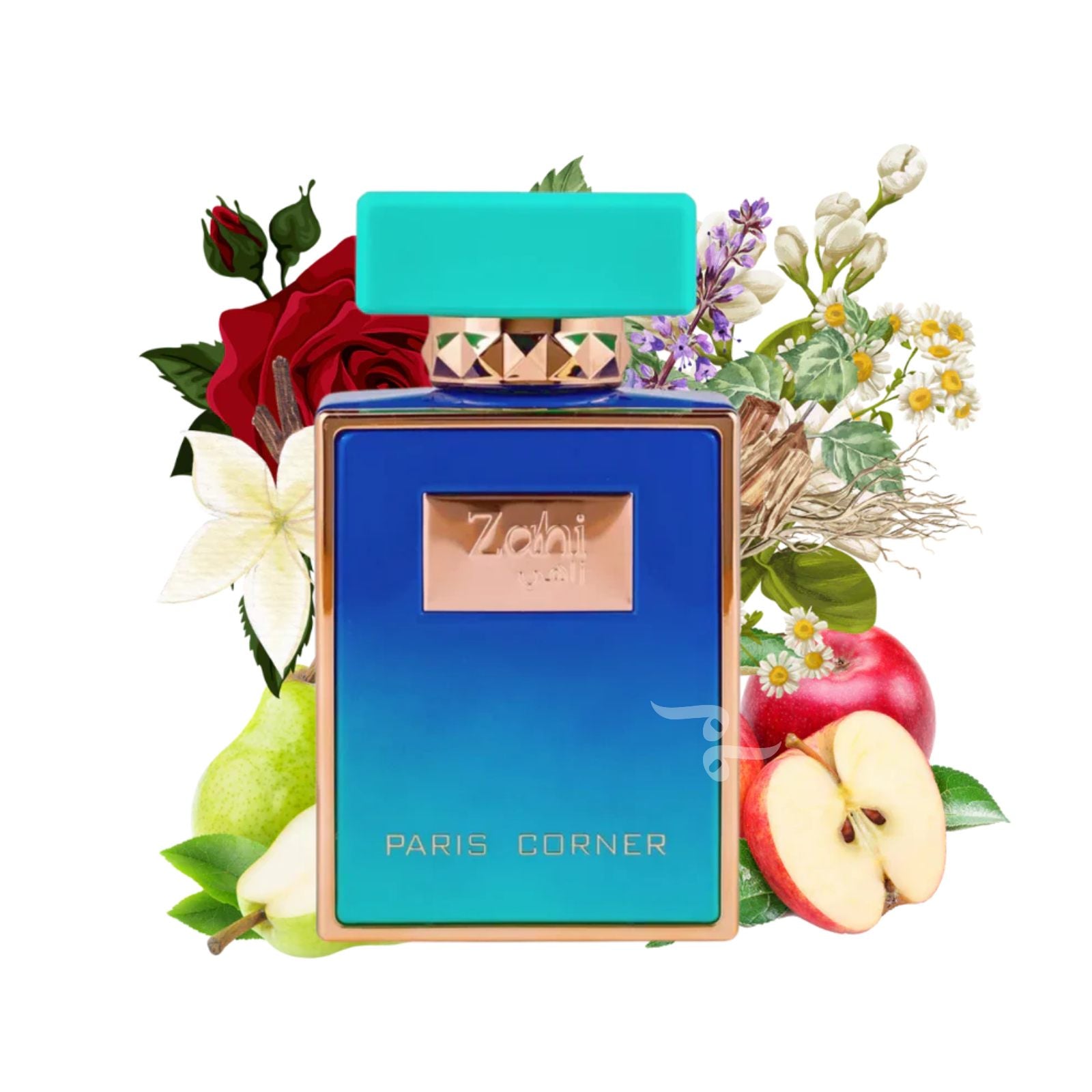 Zahi 100ml EDP By Paris Corner