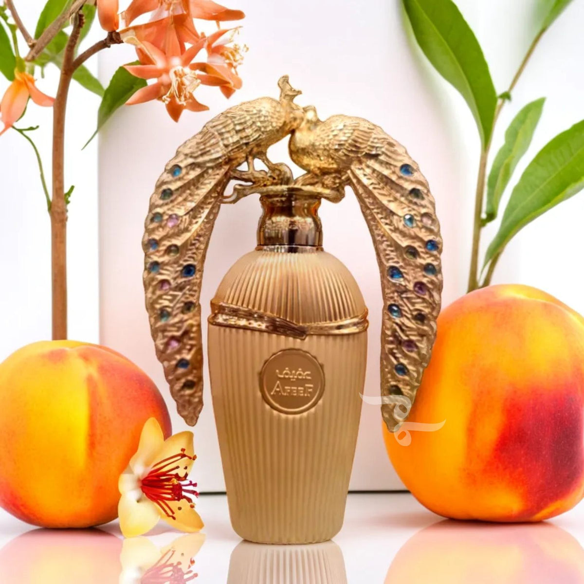 Afeef Afeef 100ml EDP By Lattafa