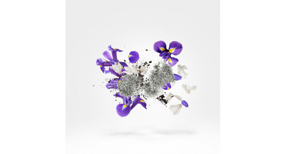 50ml Shooting Stars Apollonia EDP By Xerjoff