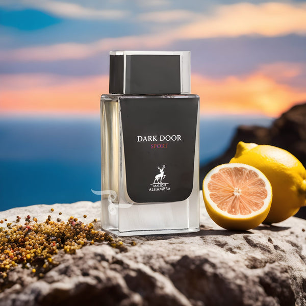 dark-door-sport-maison-