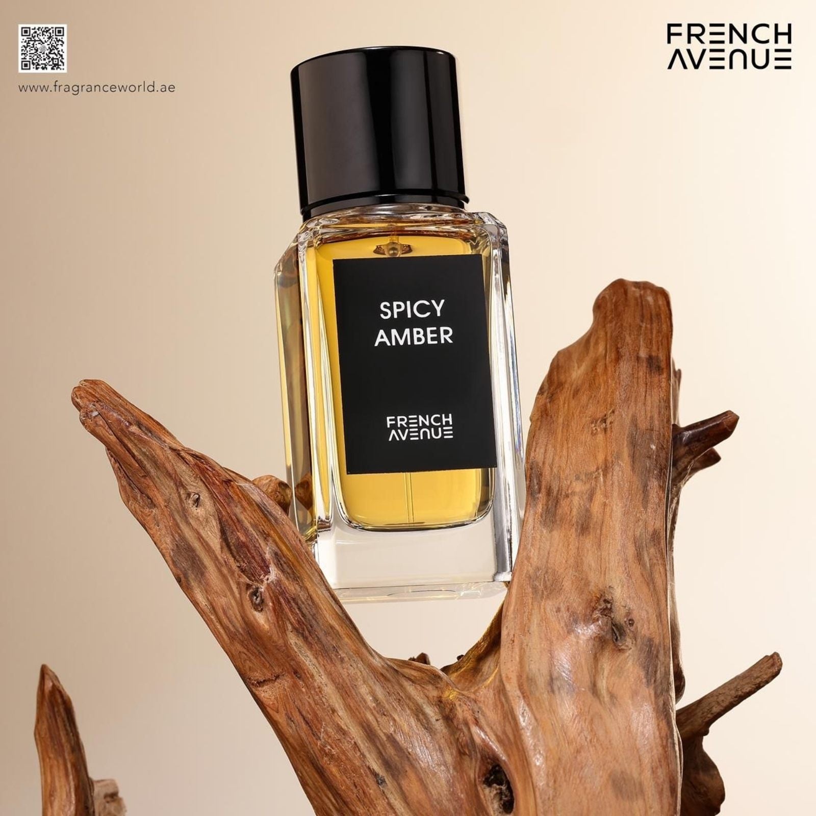 Spicy Amber By Fragrance World