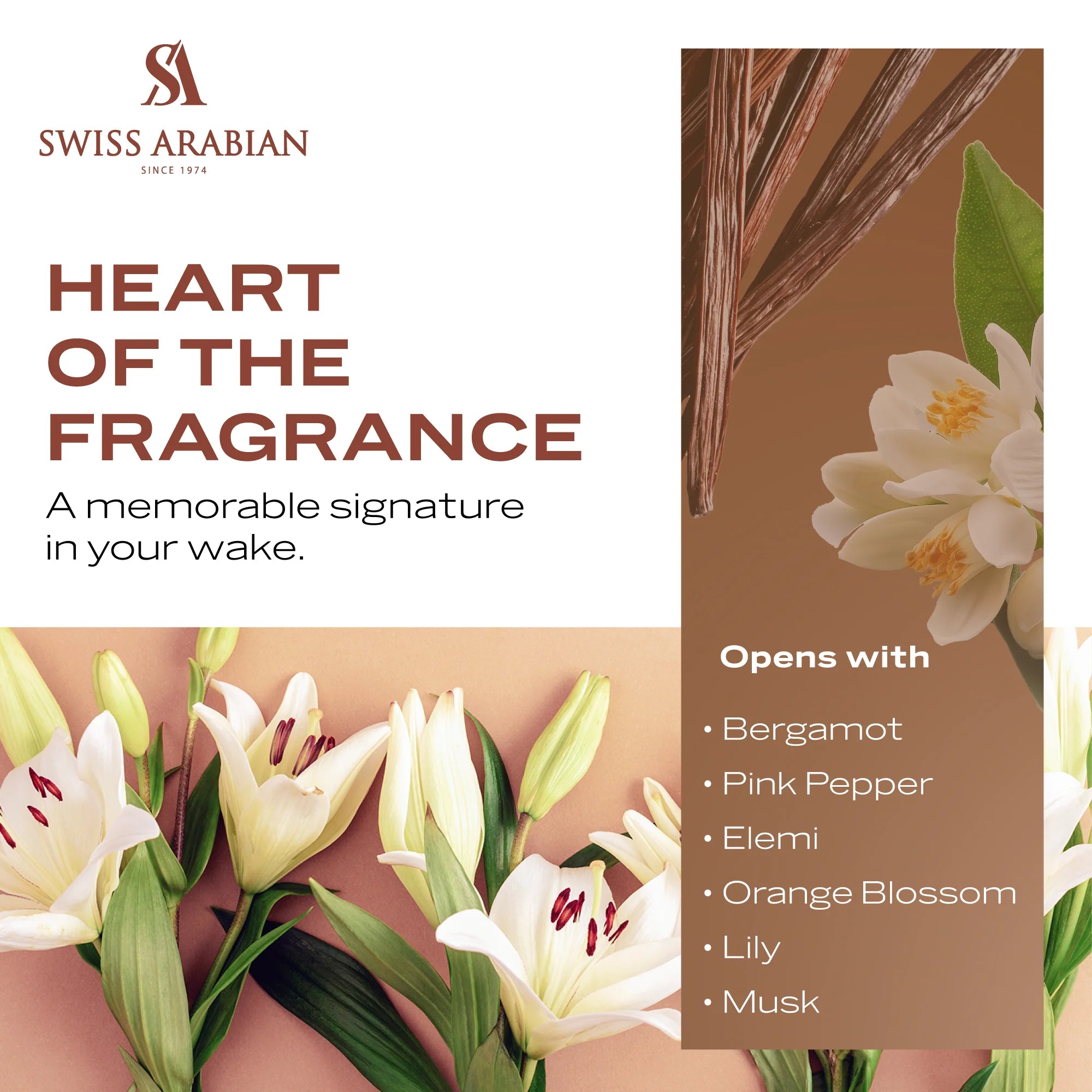 Musk 01 50ml EDP By Swiss Arabian