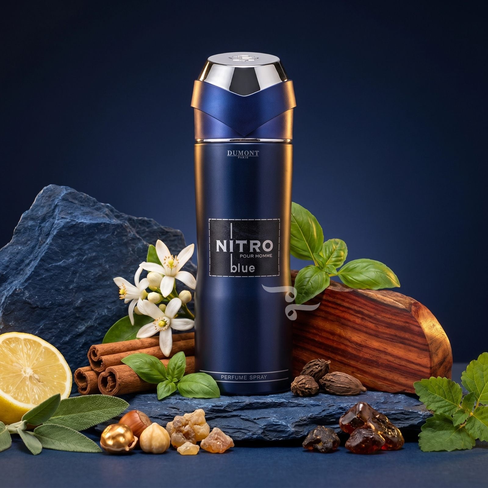 NITRO BLUE PERFUME SPRAY 200ml by Dumont