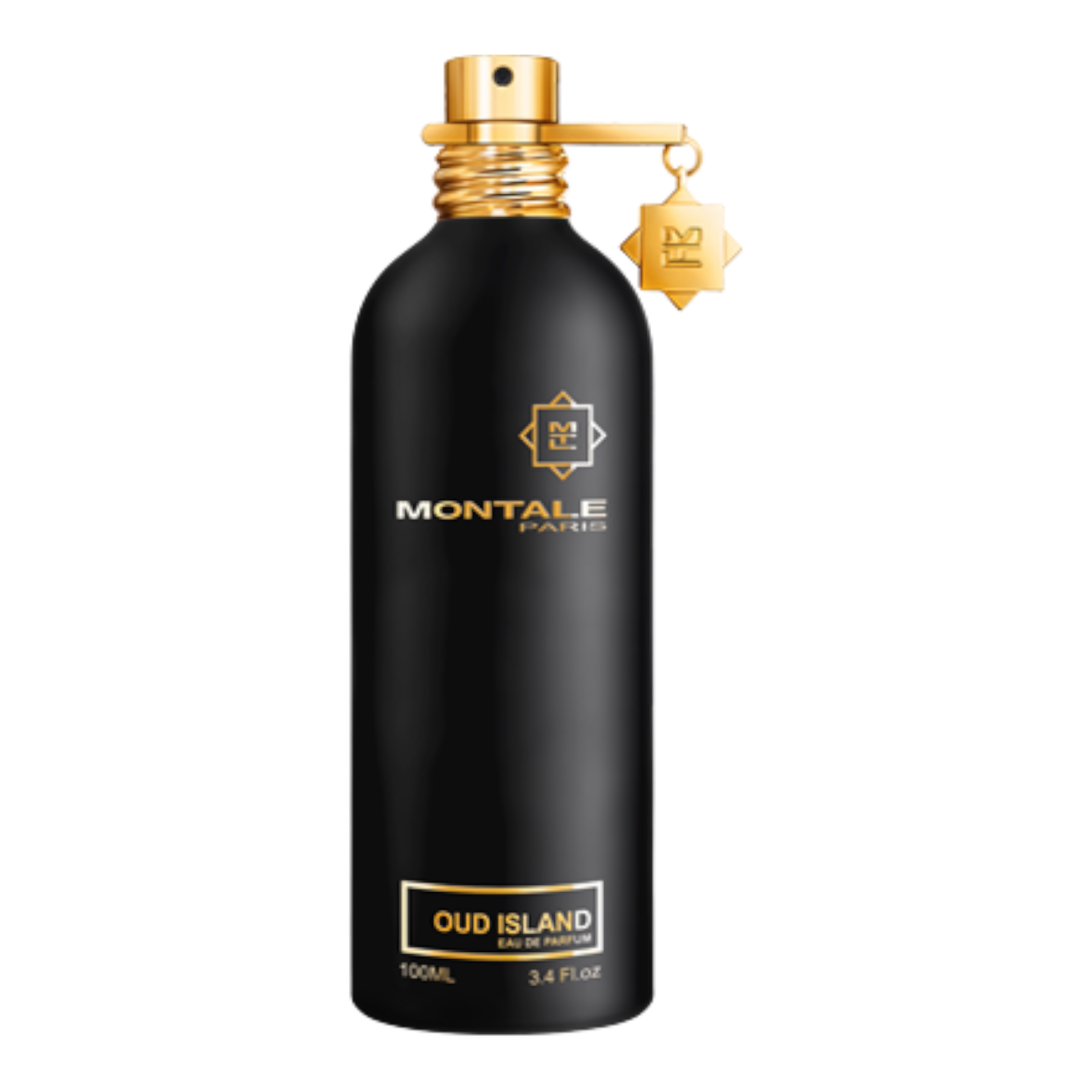 100ml Oud Island EDP By Montale