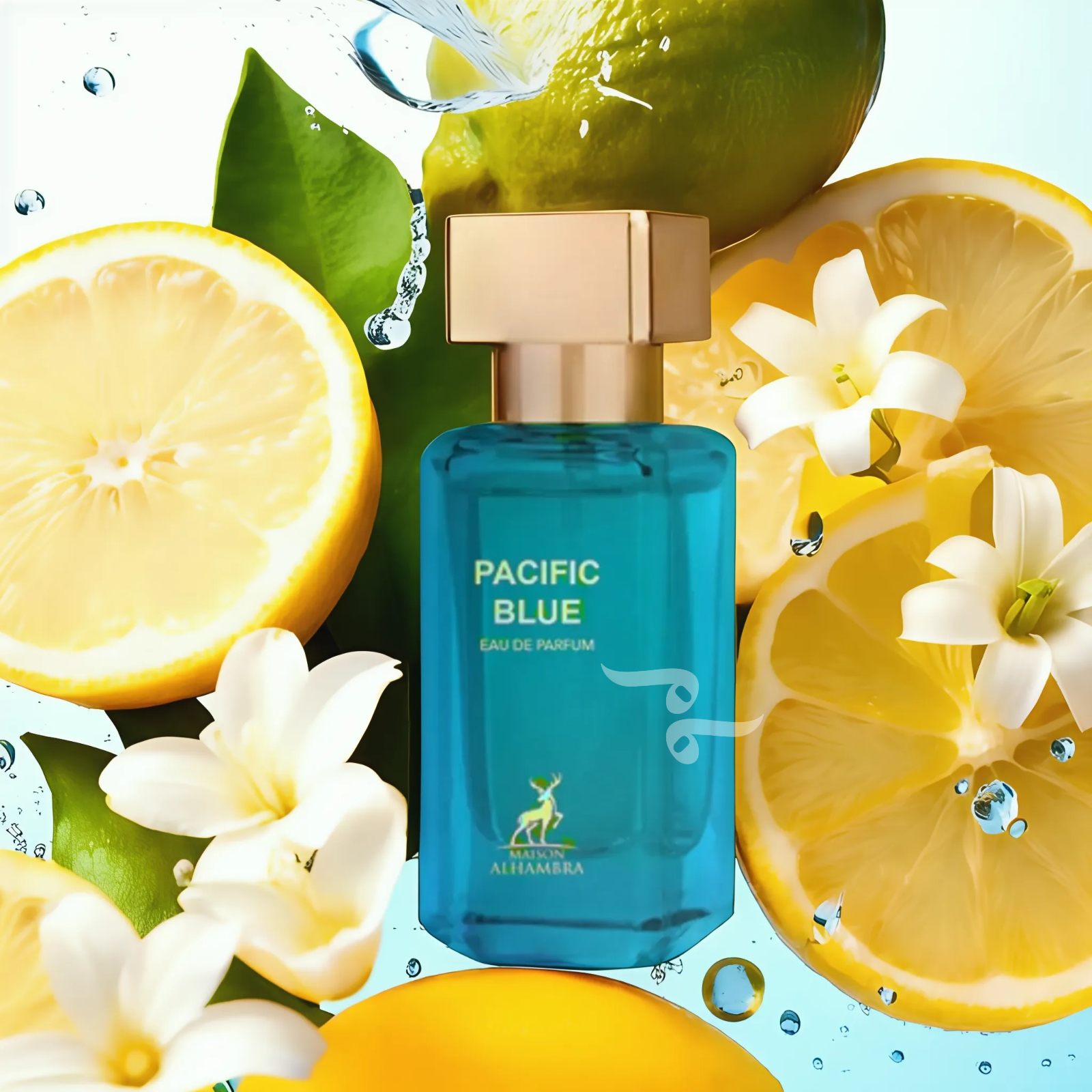 Pacific Blue (Formerly Porto Neroli) - By Maison Al Hambra