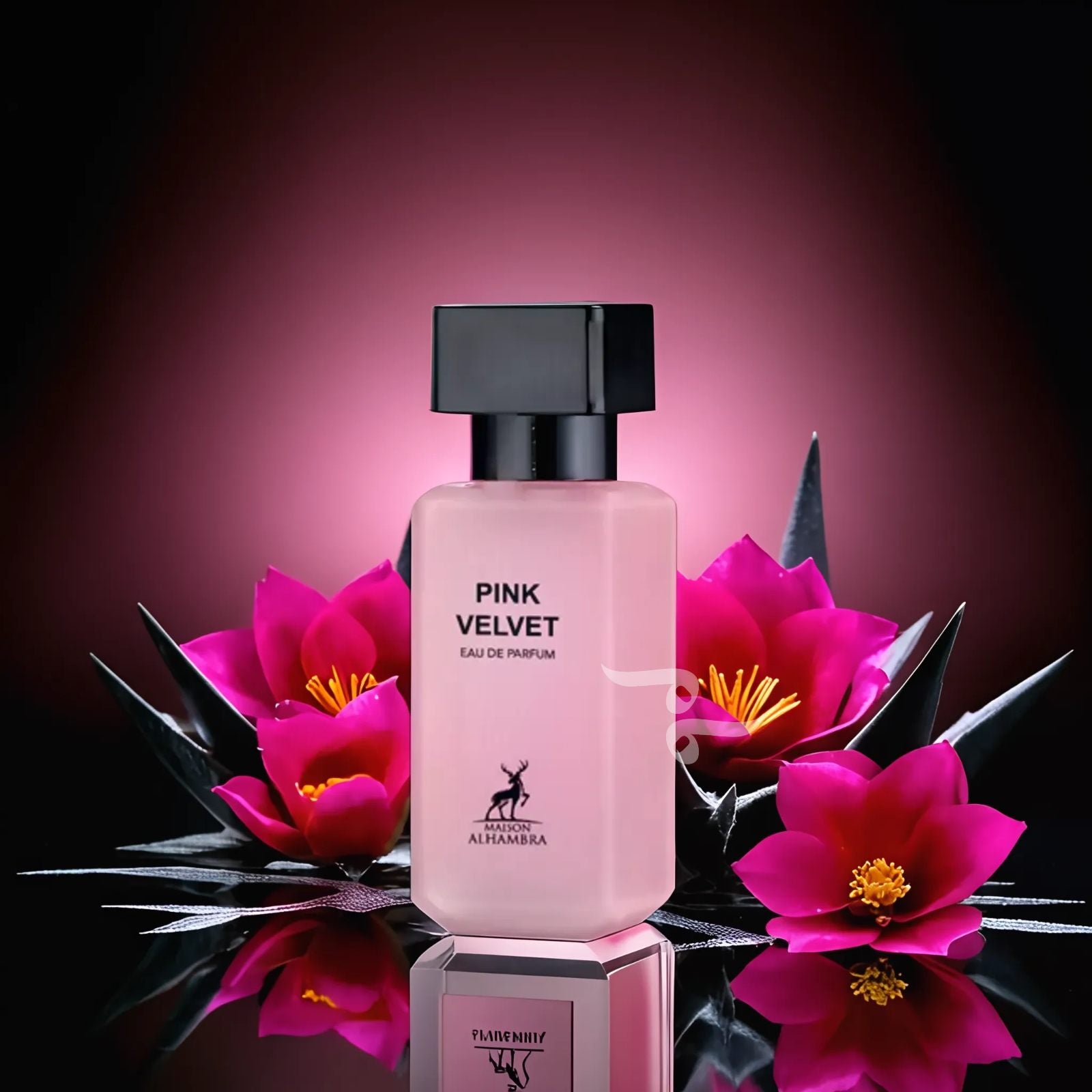 Pink Velvet (Formerly Rose Petals) - By Maison Al Hambra